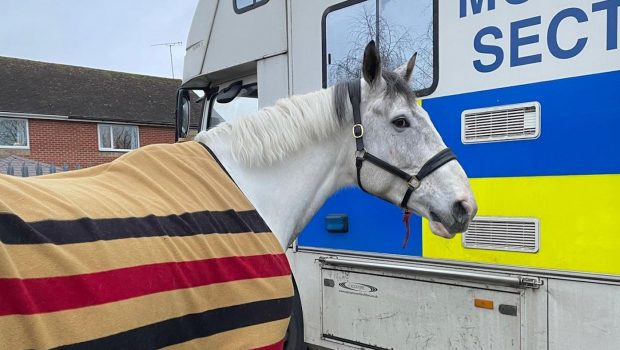 Police horse Roman god Neptune Thames Valley Police