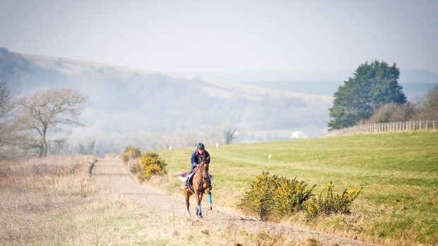 Tina riding Paddy's Poem on the gallops at her brother Nick Gifford's racing yard
