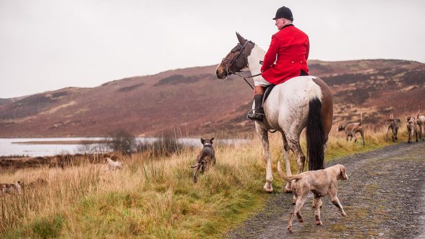 Andrew Cook MFH with hounds