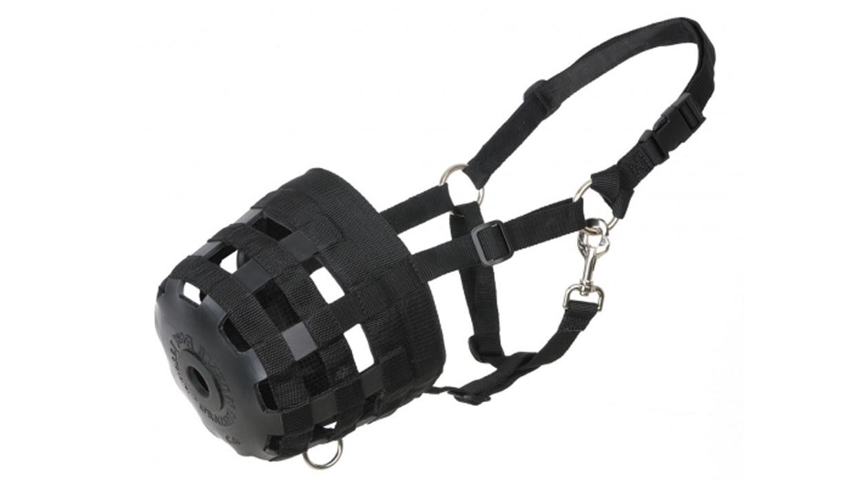 Best Friend deluxe grazing muzzle