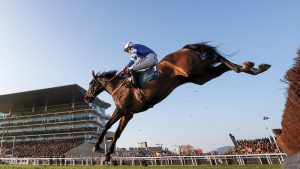 Frodon ridden by Bryony Frost during day two of the November Meeting at Cheltenham Racecourse.