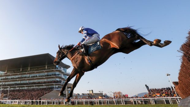 Frodon ridden by Bryony Frost during day two of the November Meeting at Cheltenham Racecourse.