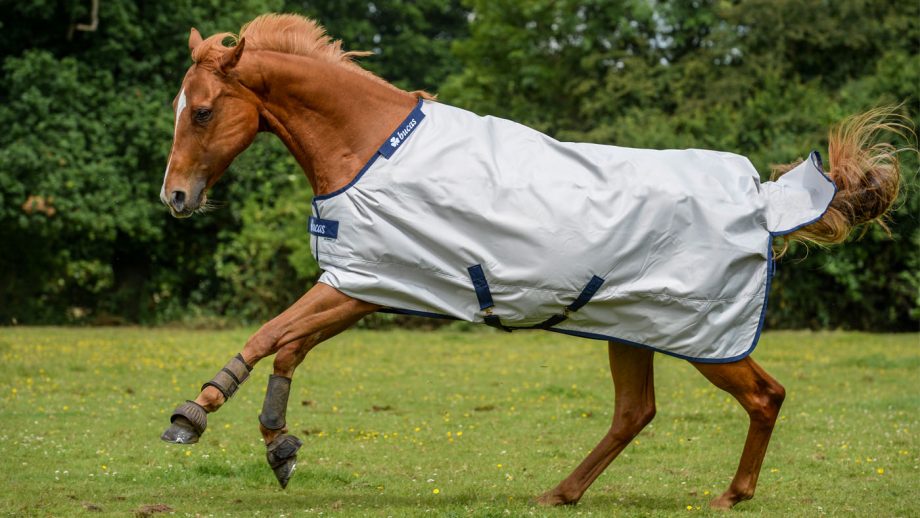 Bucas Sun Shower rain sheet for horses