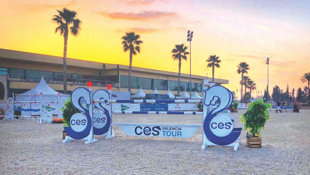 equine herpes virus outrbeak