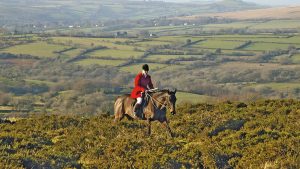Claire Bellamy at the first draw with Spooners and West Dartmoor Hunt