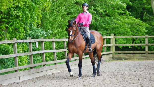 A horse and rider demonstrating the lateral movement called travers