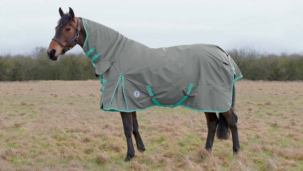 Best lightweight turnout rugs for horses Horse & Hound