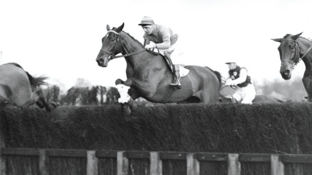 JAN 1934: GOLDEN MILLER OWNED BY DOROTHY PAGET IN ACTION CLEARING A FENCE. GOLDEN MILLER IS A STRONG CANDIDATE FOR THE 1934 GRAND NATIONAL TO BE HELD IN MARCH AT AINTREE. Mandatory Credit: Allsport Hulton/Archive