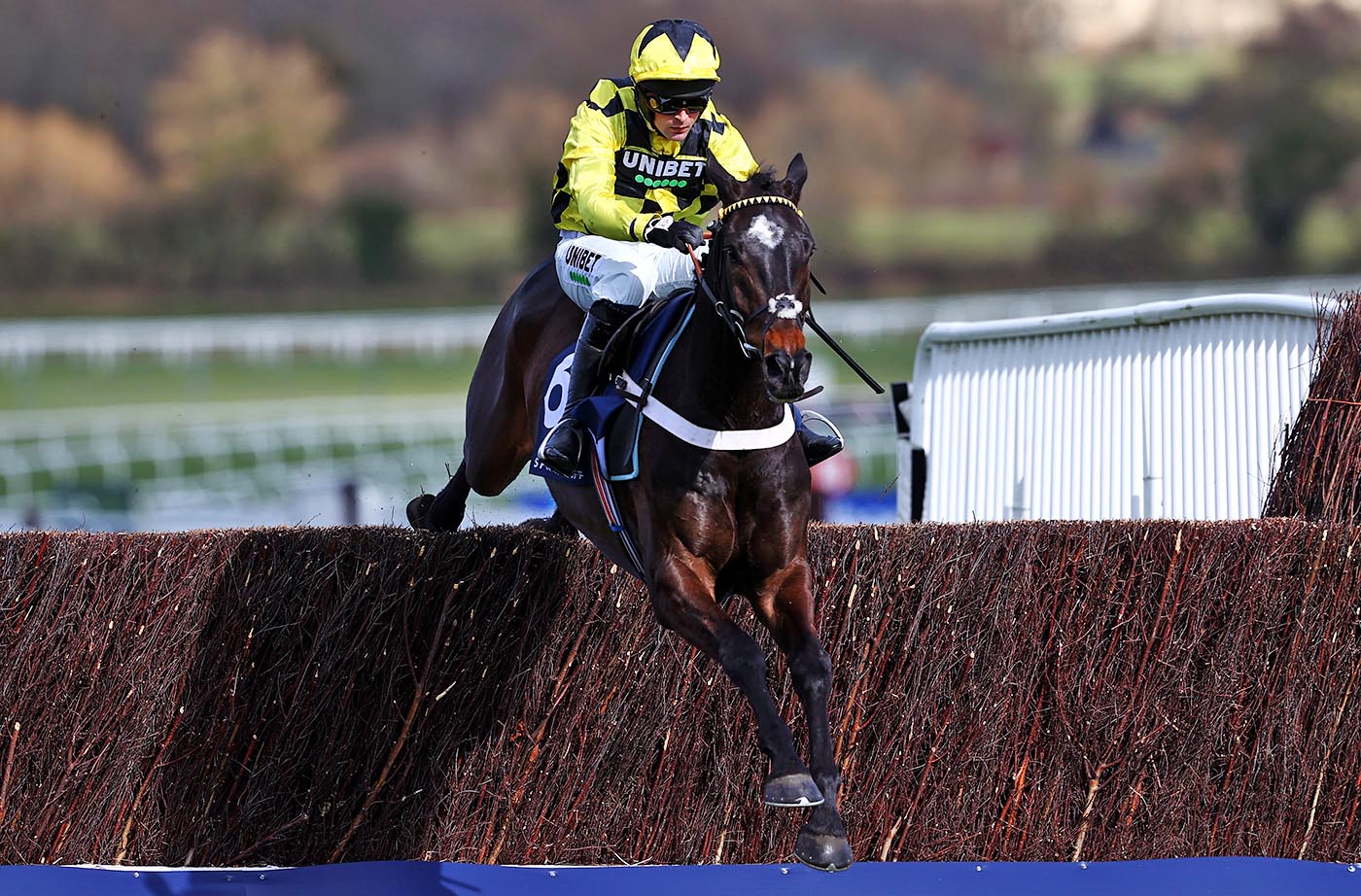 CHELTENHAM, ENGLAND - MARCH 16: Shishkin ridden by Nico de Boinville jumps the last fence to win the Sporting Life Arkle Challenge Trophy Novices' Chase (Grade 1) on Day One of the Cheltenham Festival at Cheltenham Racecourse on March 16, 2021 in Cheltenham, England. Sporting venues around the UK remain under strict restrictions due to the Coronavirus Pandemic as Government social distancing laws prohibit spectators inside venues resulting in events being held behind closed doors. (Photo by Michael Steele/Getty Images)