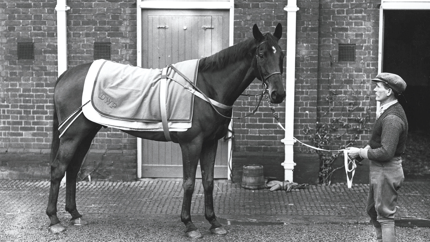 circa 1935: Race horse Golden Miller outside his stable. (Photo by Hulton Archive/Getty Images)