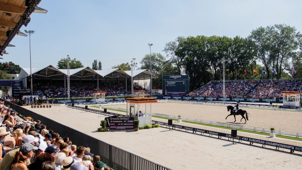 24 August 2019, Netherlands, Rotterdam: European championship, equestrian sport, dressage, Grand Prix Freestyle (freestyle): The rider Therese Nilshagen from Sweden on the horse Dante Weltino rides in the parcours. Photo: Rolf Vennenbernd/dpa