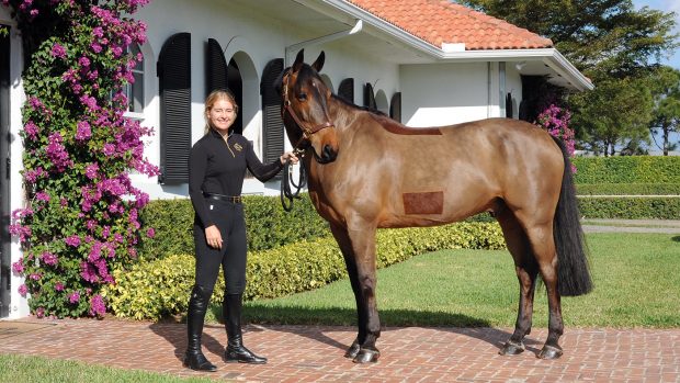 Emily Ward and Millioninmind taking a break on a sunny Florida day in Wellington