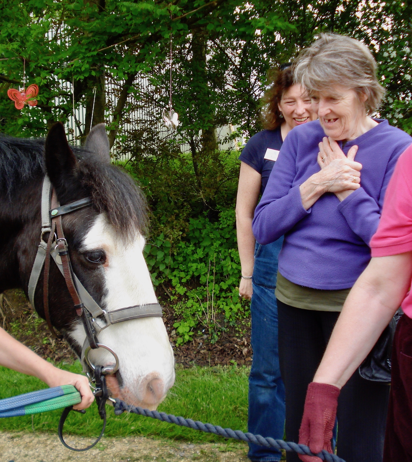 Riding for the Disabled equine therapy sessions for dementia