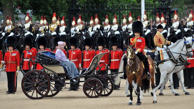 Household Division horse the Horse Trust