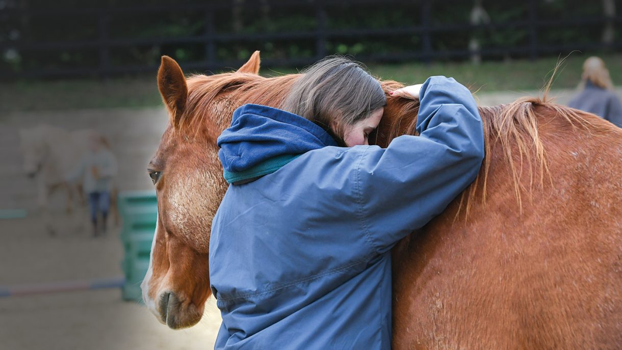 Equine firstaid kit what you need to include Horse & Hound