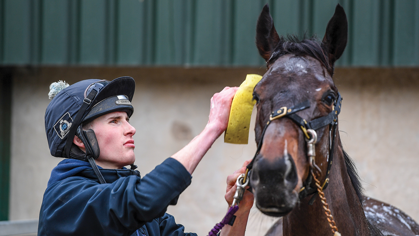 Jack Andrews washing down Wideopenspaces after morning exercise at G&T Racing near Marton in Warwickshire in the UK on 20th February 2021