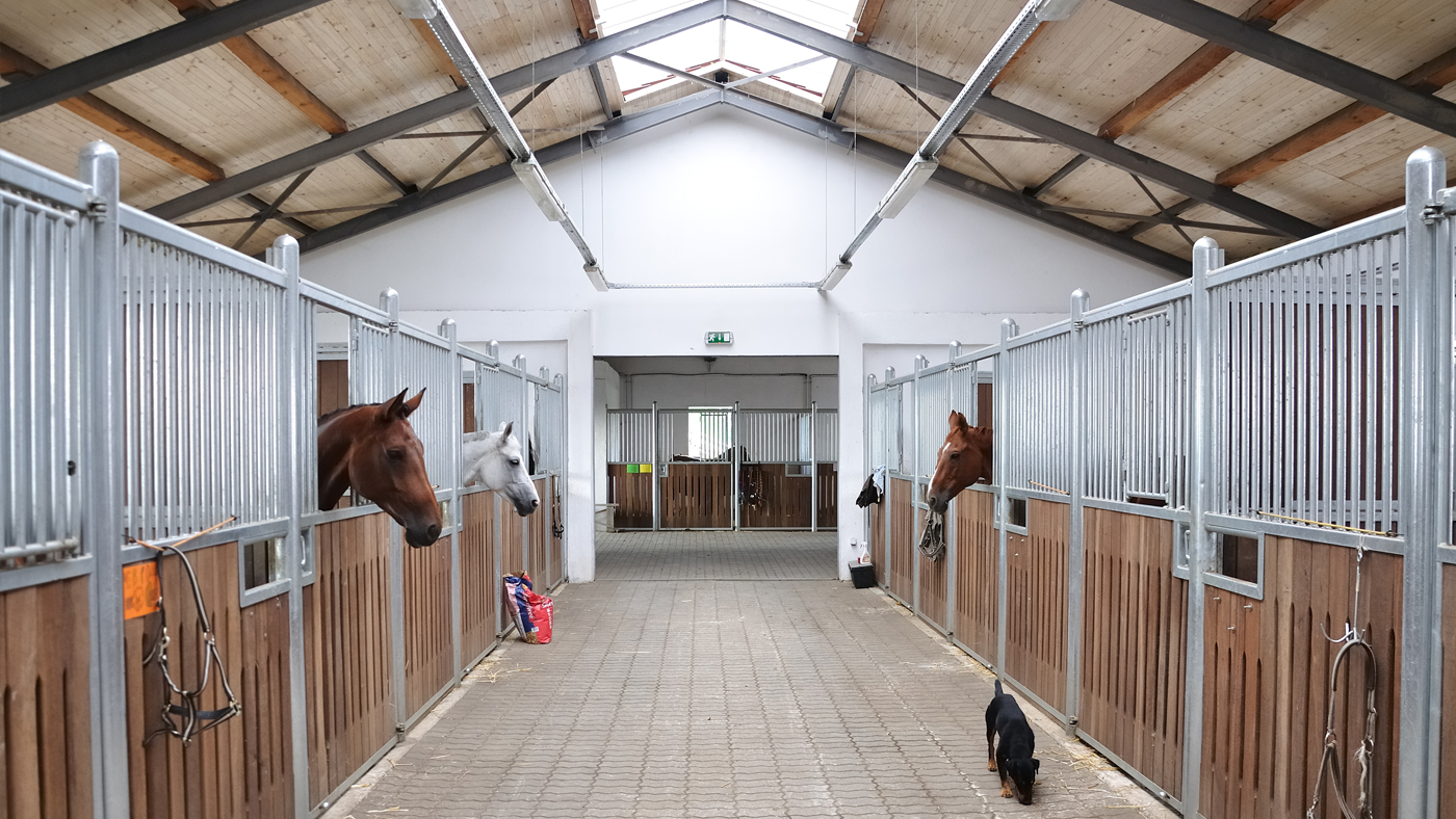 KBIS-Horses-in-Stables