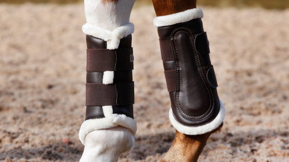 Best brushing boots for all budgets Horse & Hound