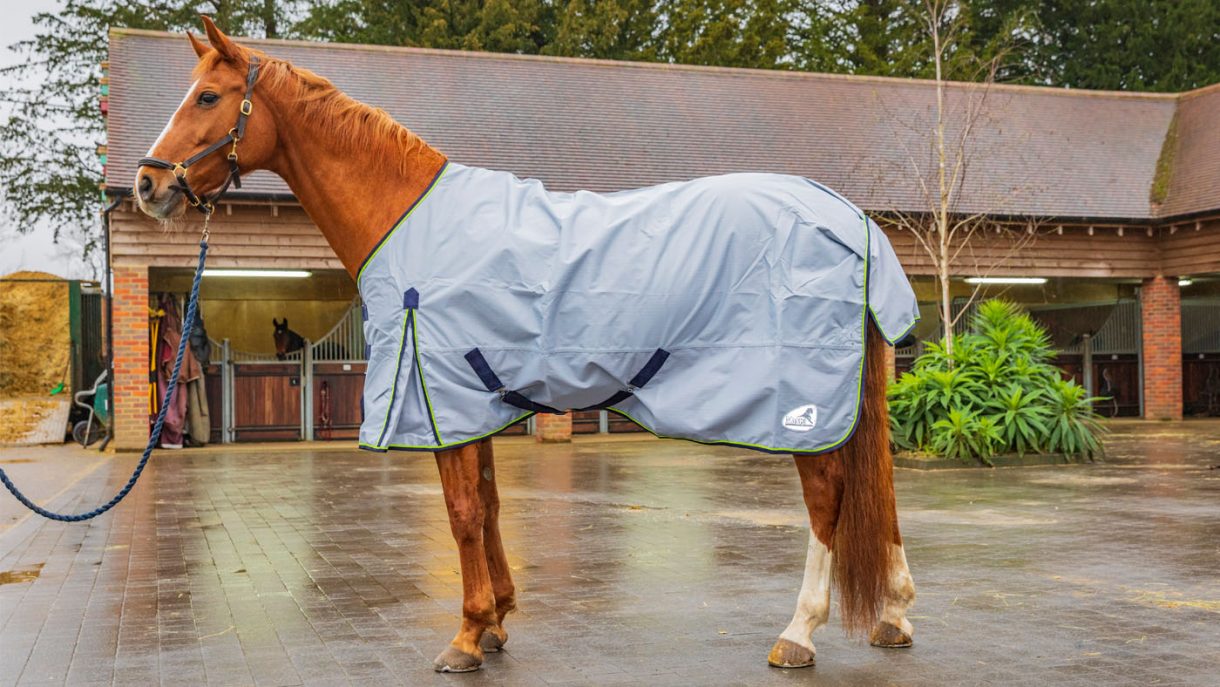 Best rain sheets for horses to protect from showers Horse & Hound
