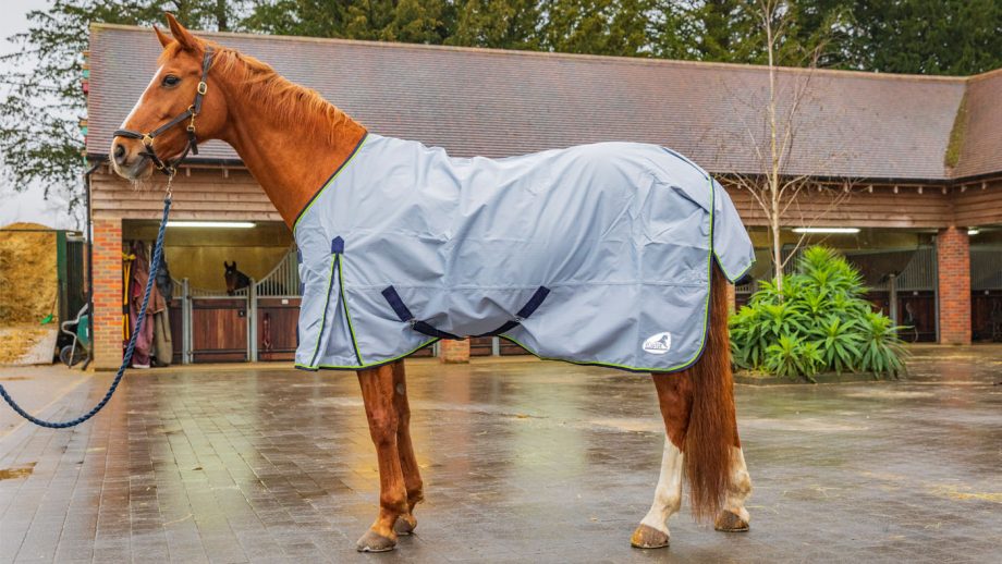 Best rain sheets for horses to protect from showers Horse & Hound