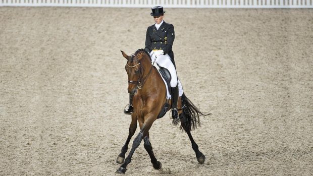 Lyndal Oatley showing off Sandro Boy's half pass.