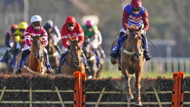Tritonic heads for the JCB Triumph Hurdle at the Cheltenham Festival