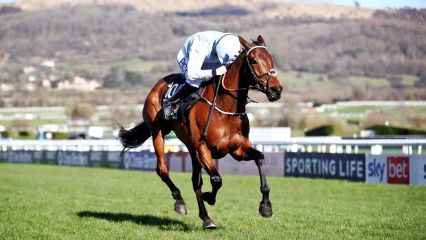 Cheltenham Festival tips Honeysuckle ridden by Rachael Blackmore winning the Unibet Champion Hurdle Challenge Trophy during day one of the Cheltenham Festival at Cheltenham Racecourse. Picture date: Tuesday March 16, 2021.