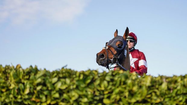 Tiger Roll, pictured at the 2021 Cheltenham Festival, has retired from racing
