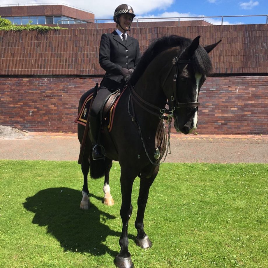 Northumberland Police police horse retires