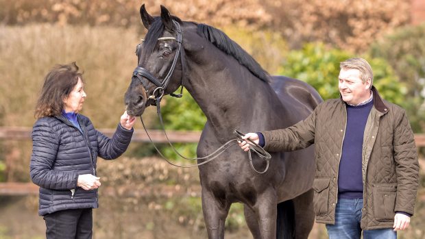 rubin royal old Rubin Royal OLD with his breeder Harli Seifert (left) and DLZ operations manager Wolfgang Stagge (right).