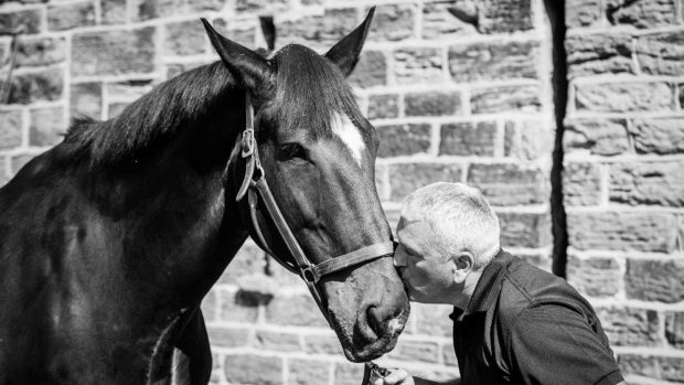 police horse retires South Yorkshire Police