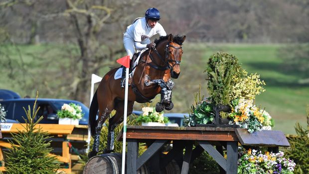 Harry Meade head injury recovery: Tenareze is one of the horses Harry rode at his first event back, Oasby