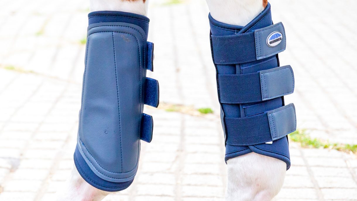 Best brushing boots for all budgets Horse & Hound