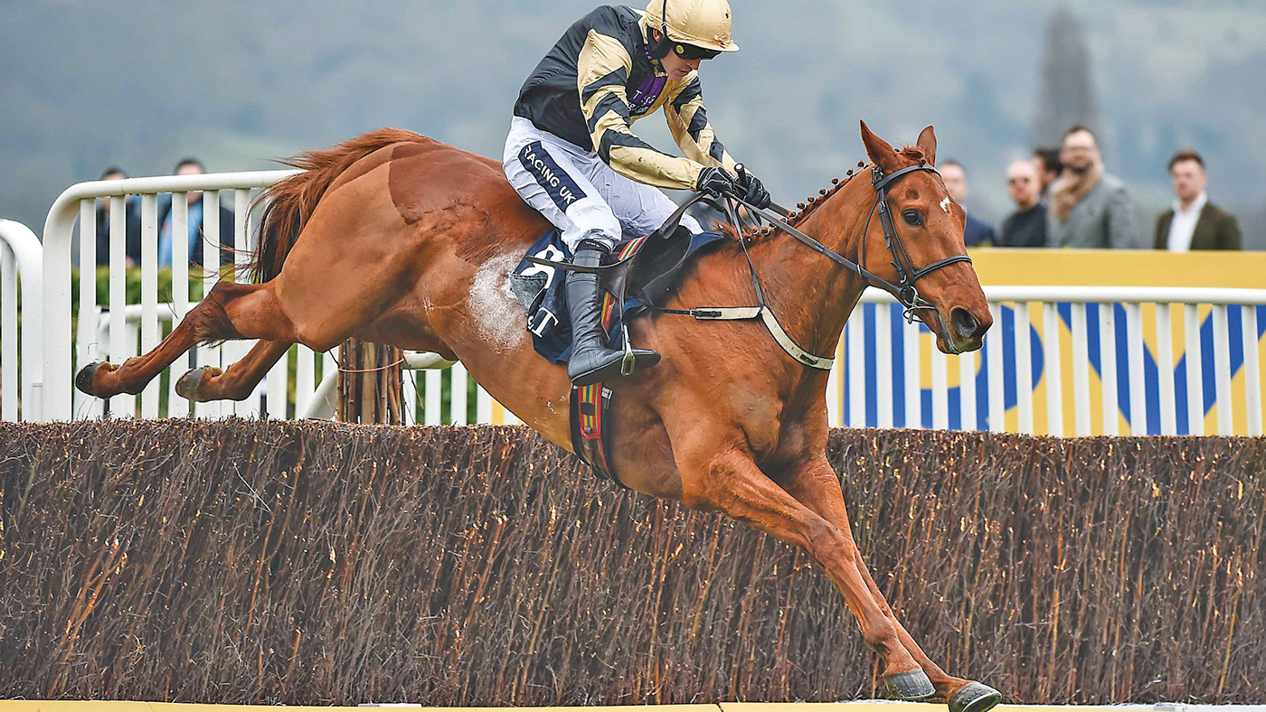 Cheltenham , United Kingdom - 16 March 2017; Yorkhill, with Ruby Walsh up, jumps the last on their way to winning the JLT Novices' Steeple Chase during the Cheltenham Racing Festival at Prestbury Park in Cheltenham, England. (Photo By Seb Daly/Sportsfile via Getty Images)