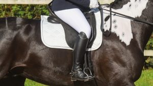 How to get started in affiliated dressage: rider in dressage saddle