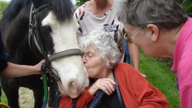 Riding for the Disabled equine therapy sessions for dementia