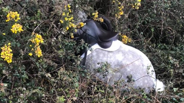 mopeds spooked horse