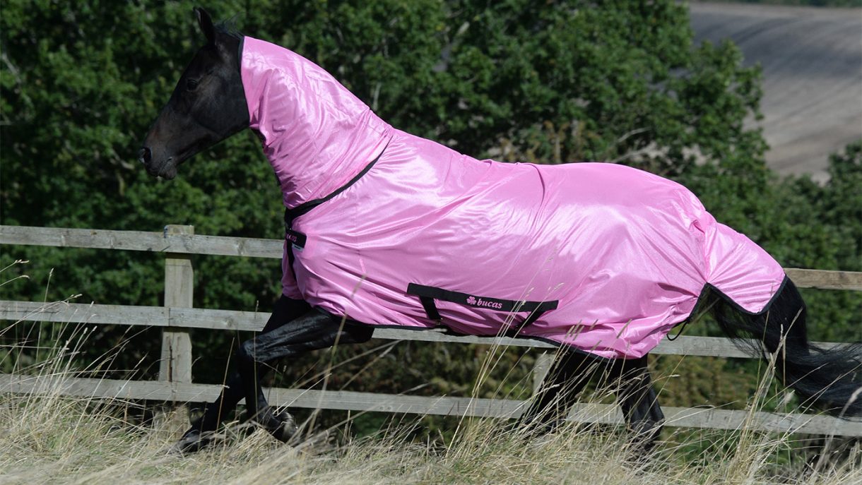 Best fly rugs for horses find the best protection Horse & Hound