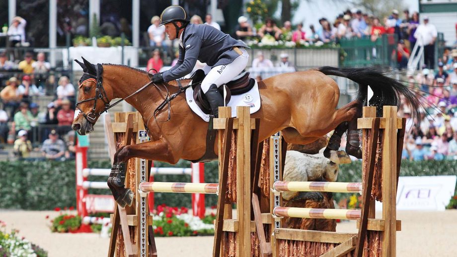 event horse Ballynoe Castle RM