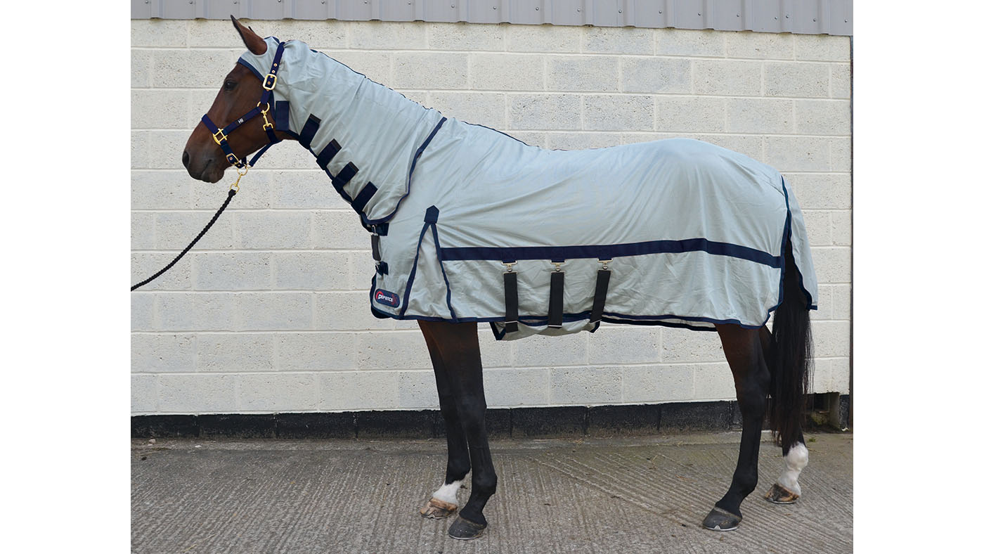 Best fly rugs to protect your horse Horse & Hound