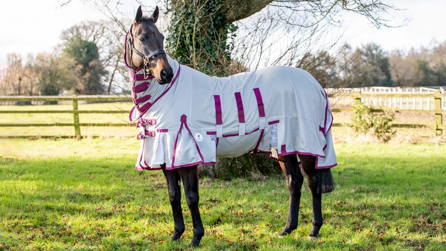 Best fly rugs for horses find the best protection Horse & Hound