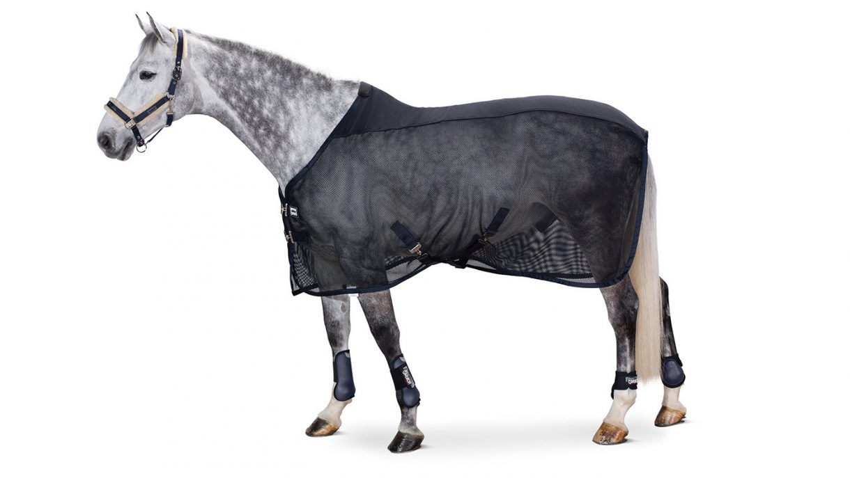 Best fly rugs to protect your horse Horse & Hound