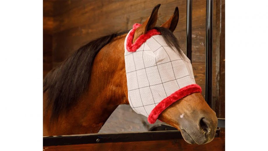 Best fly masks for horses in a range of designs Horse & Hound