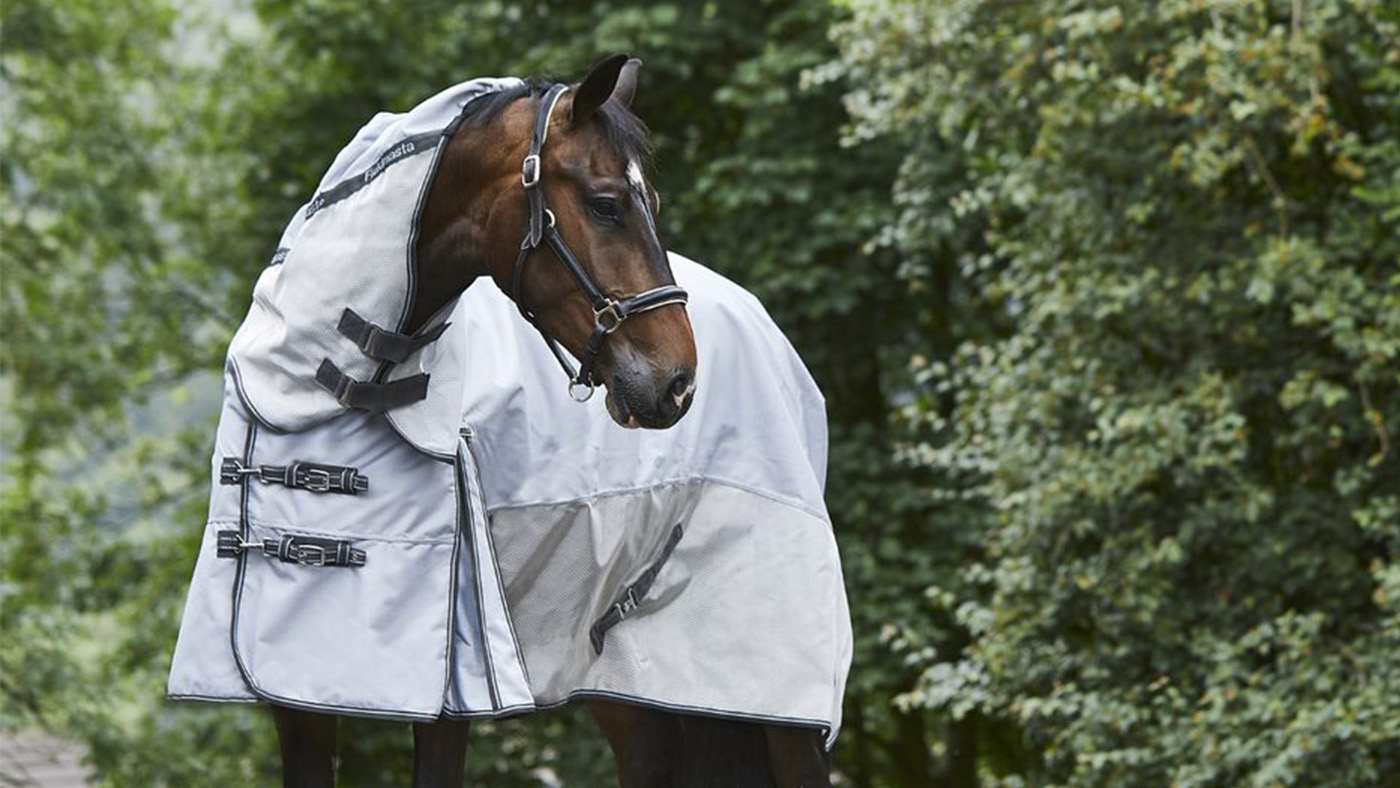 Best waterproof fly rugs for horses Horse & Hound