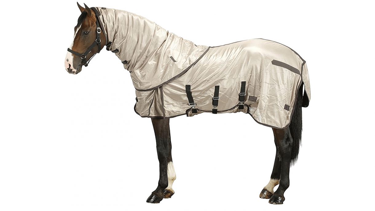 Best fly rugs for horses find the best protection Horse & Hound