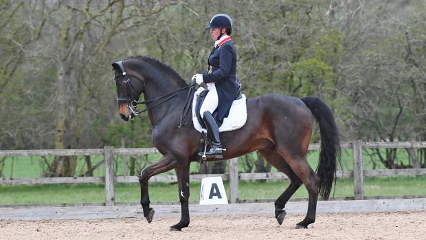 Fiona Bigwood and Hawtins Delicato on their competitive debut