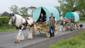 CA4RCE Thursday 7th June 2012 at Appleby, Cumbria, England, UK. Horse drawn bow-top wagons arrive from all over the UK on the first day of the Appleby Fair, the biggest annual gathering of Gypsies and Travellers in Europe. The fair takes place 7th-13th June 2012.