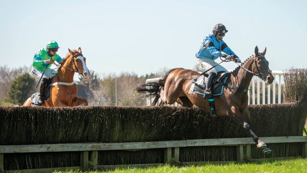 Tattersalls Cheltenham 4&5 year old Maiden - Time PLease and Gina andrews at front