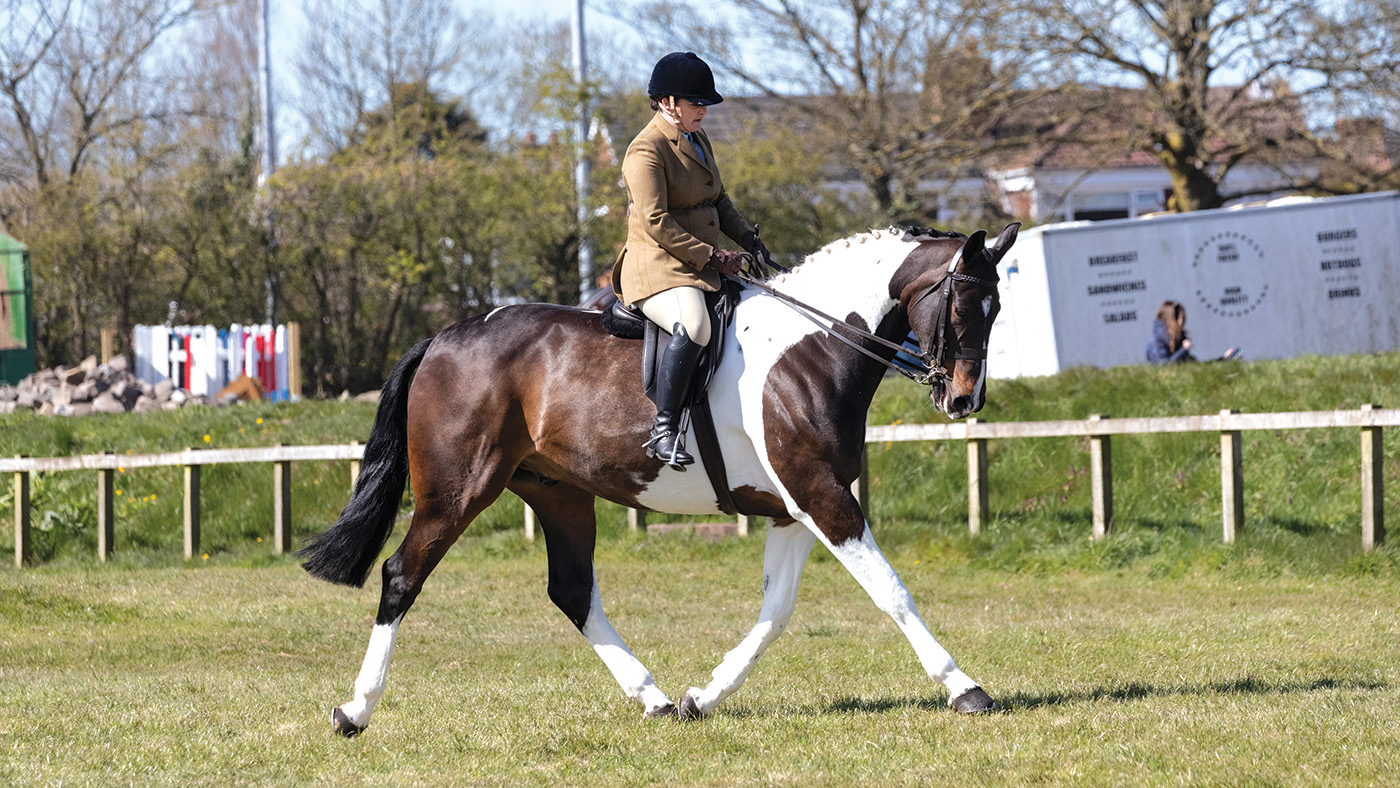 Coloured Champion 27 OPTIMUS PRIME R: Amy Riley