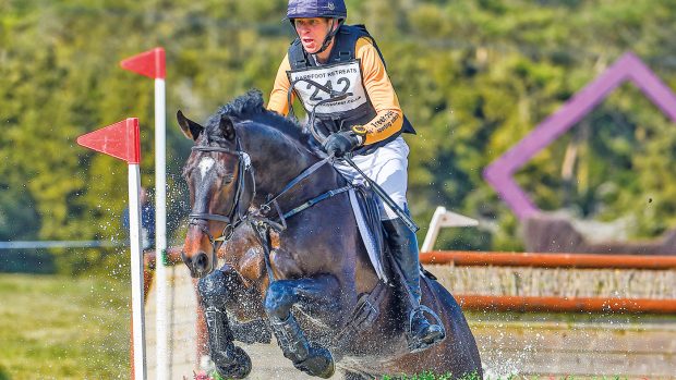 stallion Party Trick Nick Gauntlett riding Party Trick at Burnham Market in April 2021.